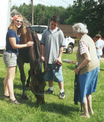 Caring for the Horses 3